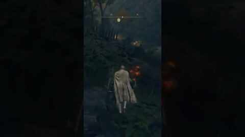 Going for a Touchdown in Elden Ring #eldenring