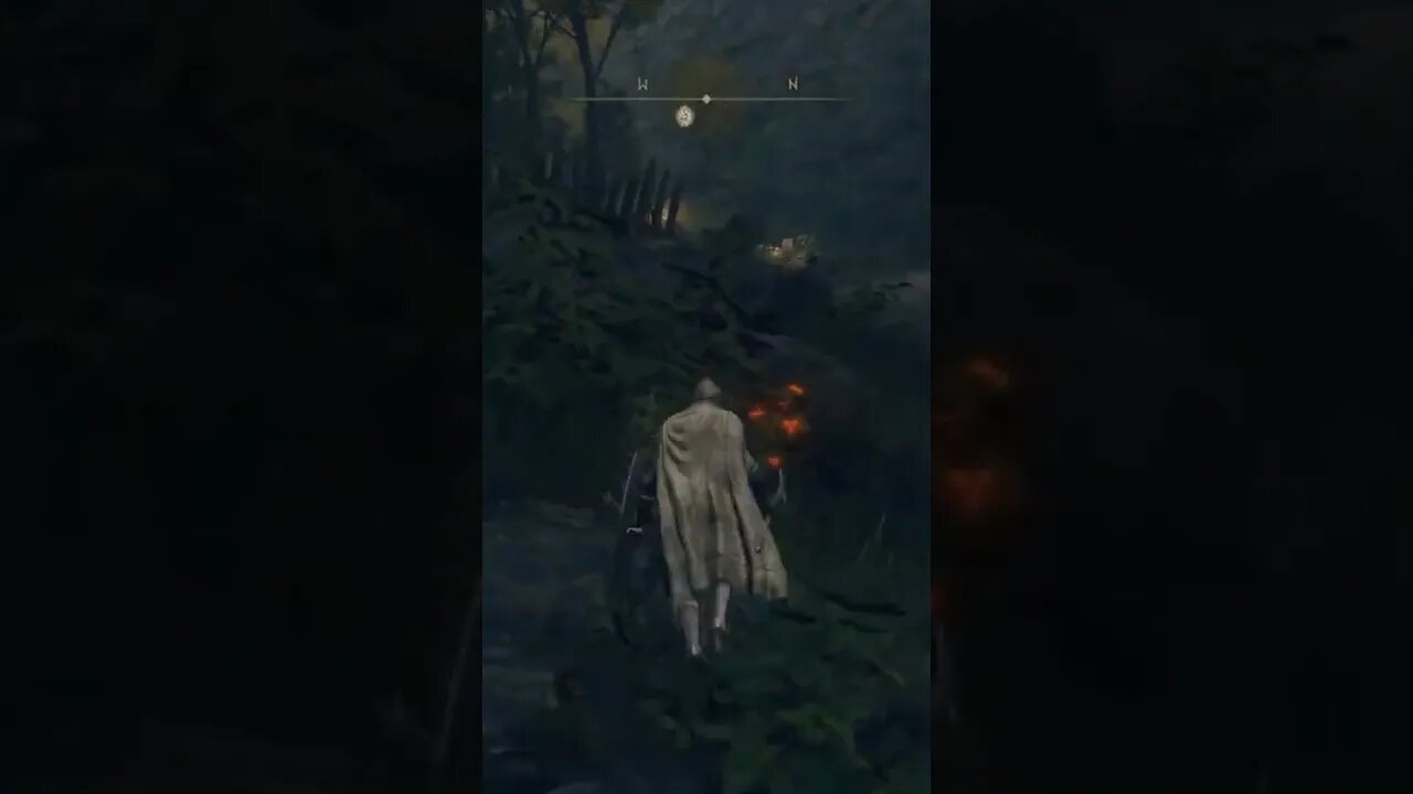 Going for a Touchdown in Elden Ring #eldenring