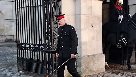 Sargent inspects the Guards #horseguardsparade