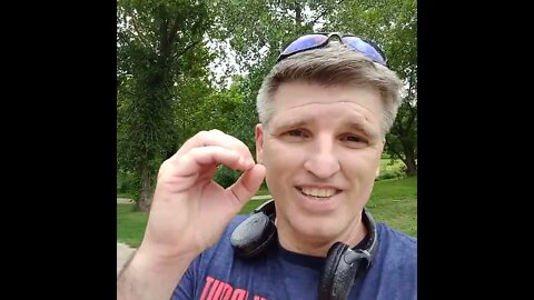 Shibarium, Bone is the Move.