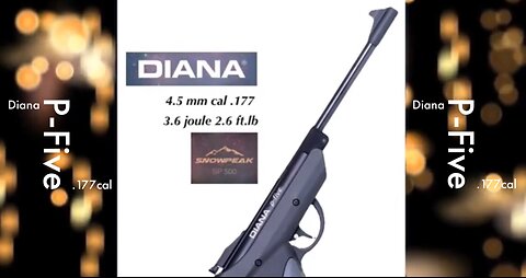 Diana P-Five .177cal