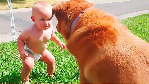 Best video of Cute Babies and Pets - Funny Baby and Pet