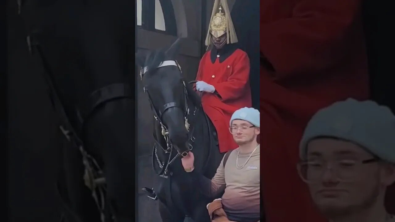 hands on the Reins #horseguardsparade