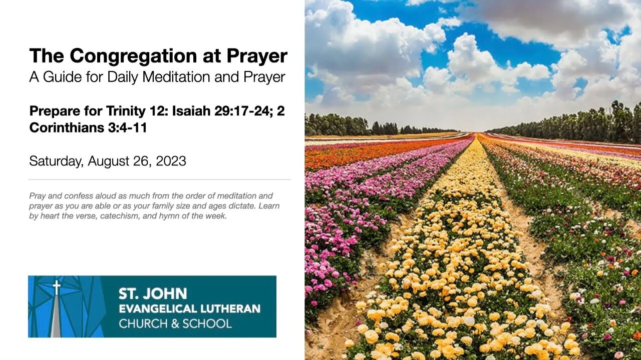 Prepare for Trinity 12: Isaiah 29:17-24; 2 Corinthians 3:4-11