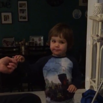 Little Boy Only Eats If He Can Eat Like A Cat