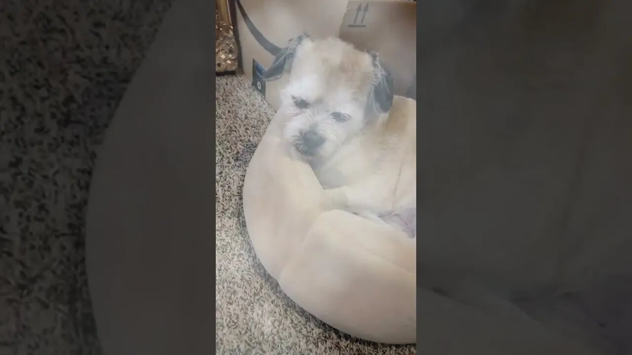 HYPNOTIZED or maybe not