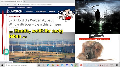 „SPD: Holzt die Wälder ab, baut Windkrafträder – die nichts bringen, nein, doch oaaah!!!“ ...