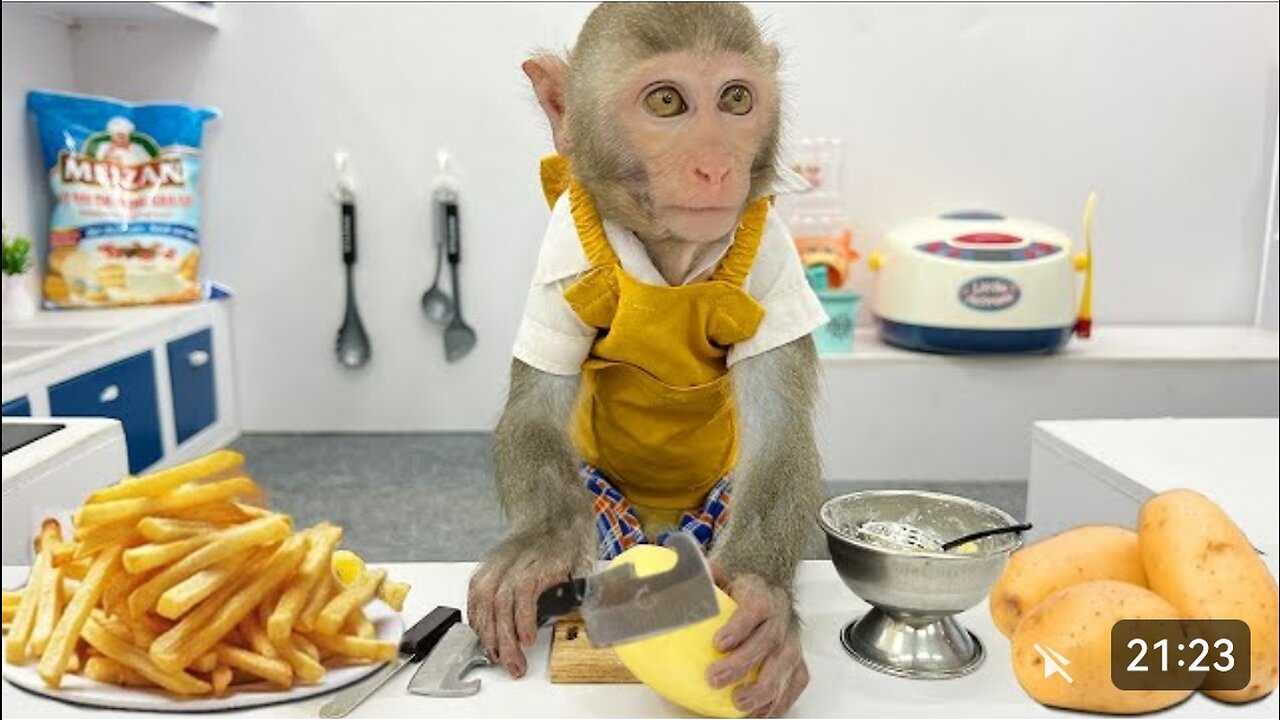 Funniest Monkey Learning Cooking | The Hilarious Monkey Chef 😂