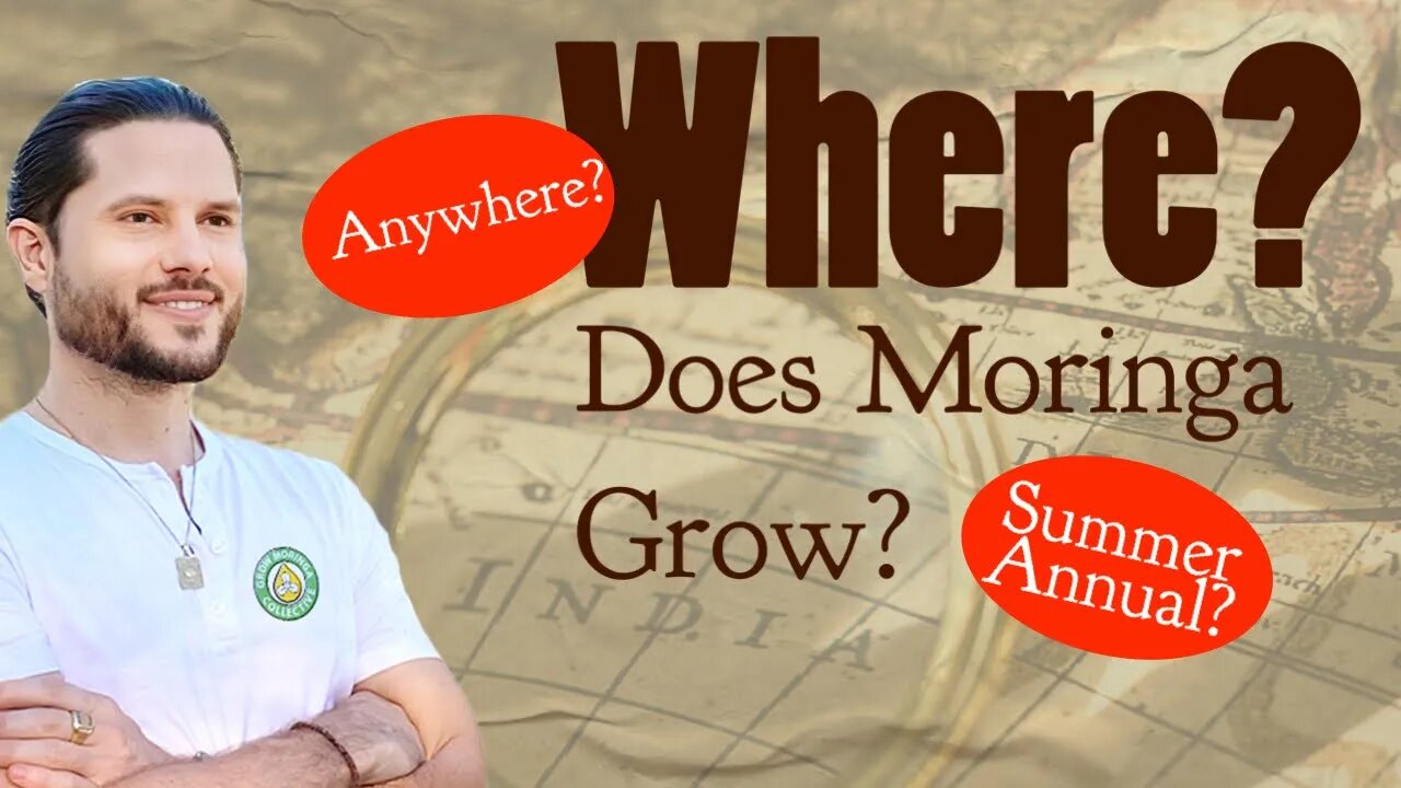 How to Grow Moringa Anywhere in the World as a Summer Annual