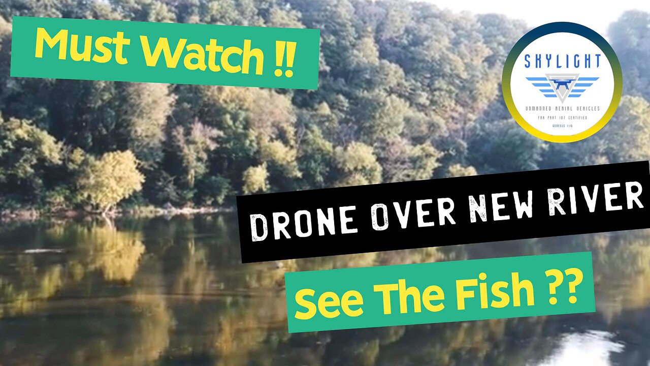 Drone Flying Over New River, Watch The Fish….Relaxing Video #drone #fish #virginia