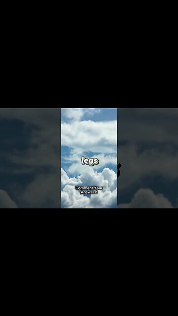 Sharks Grew legs #shorts #funny #trending