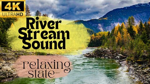 4K Forest Stream Relaxing River Sounds Peaceful