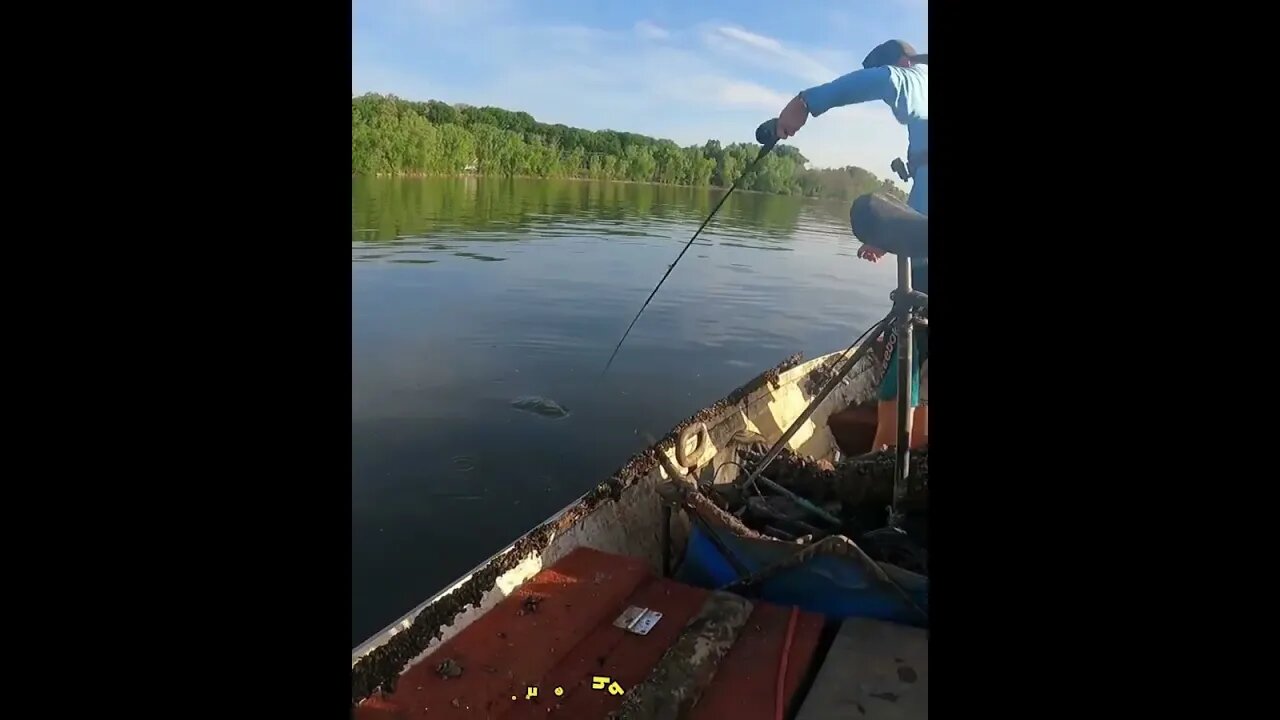 GIANT MAGNET Rescuing a Fishing Pole, Lure, then Catching a Fish! #magnetfishing #shorts