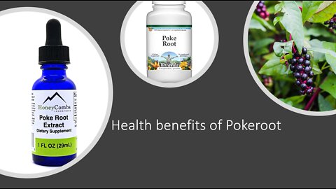 Poke - Herbal Medicine - Benefits, Uses & Side Effects