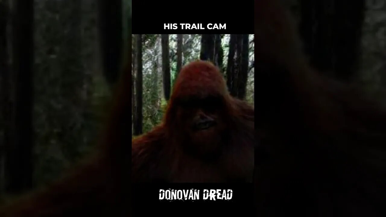 Sasquatch Caught on Trail Camera #shorts