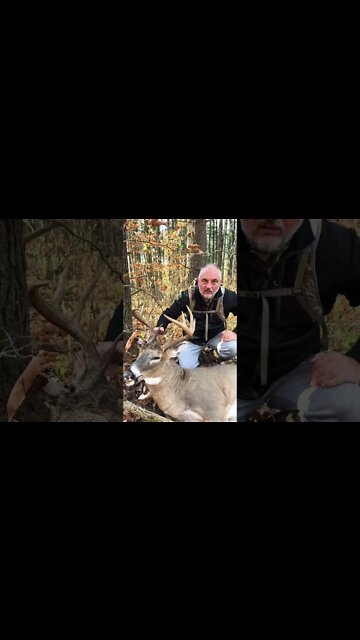 Florida Hunter Tags Nice Public Land Buck.