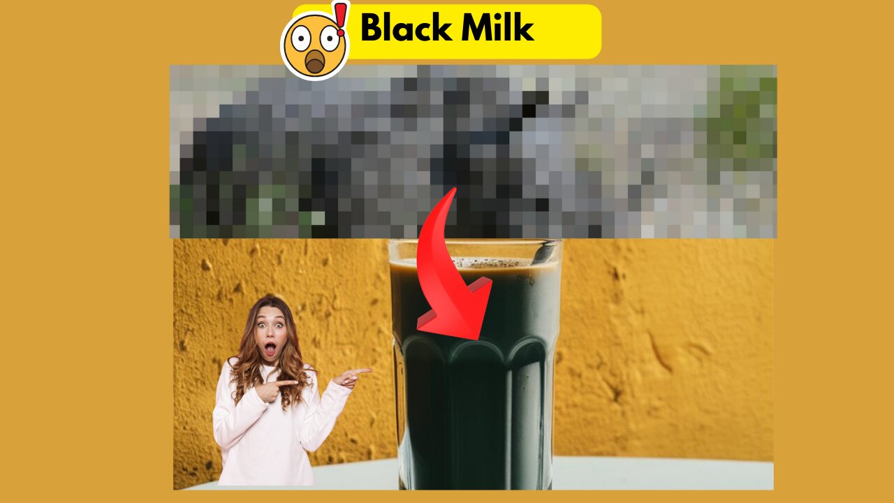 Animal That Gives Black Milk!!