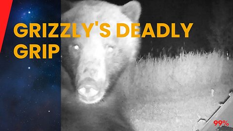 Model's Fatal Encounter: Grizzly Horror Unleashed