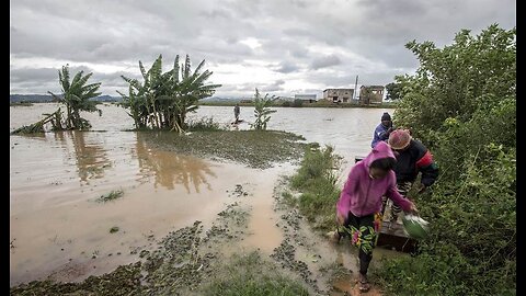 Leaping Leeches Loom Large in Madagascar