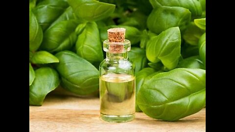 6 Uses for Basil