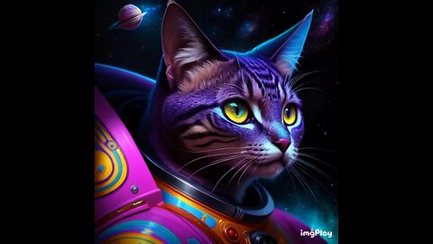 Cute Cat Picture ☯️