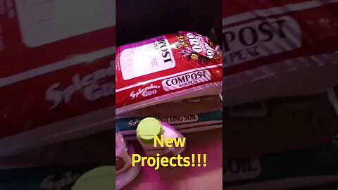 New Projects