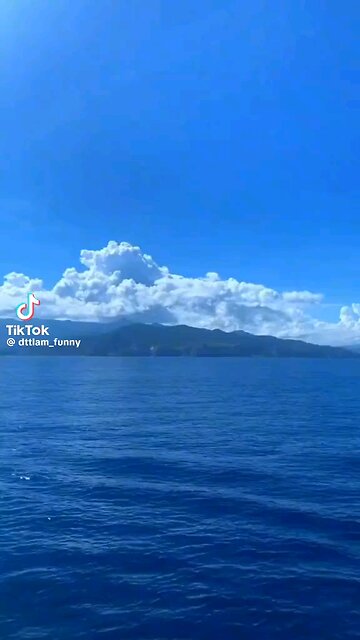 The Silly Elephant Adventures" : Join the whimsical journey of a silly elephant as he embarks on