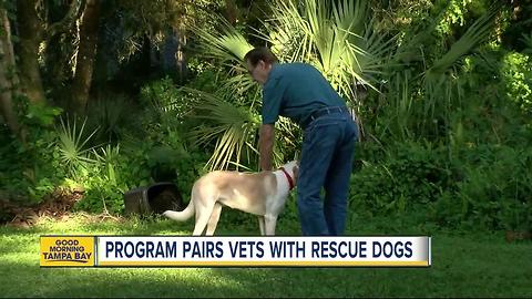 Two non-profits join forces to provide vets with pets