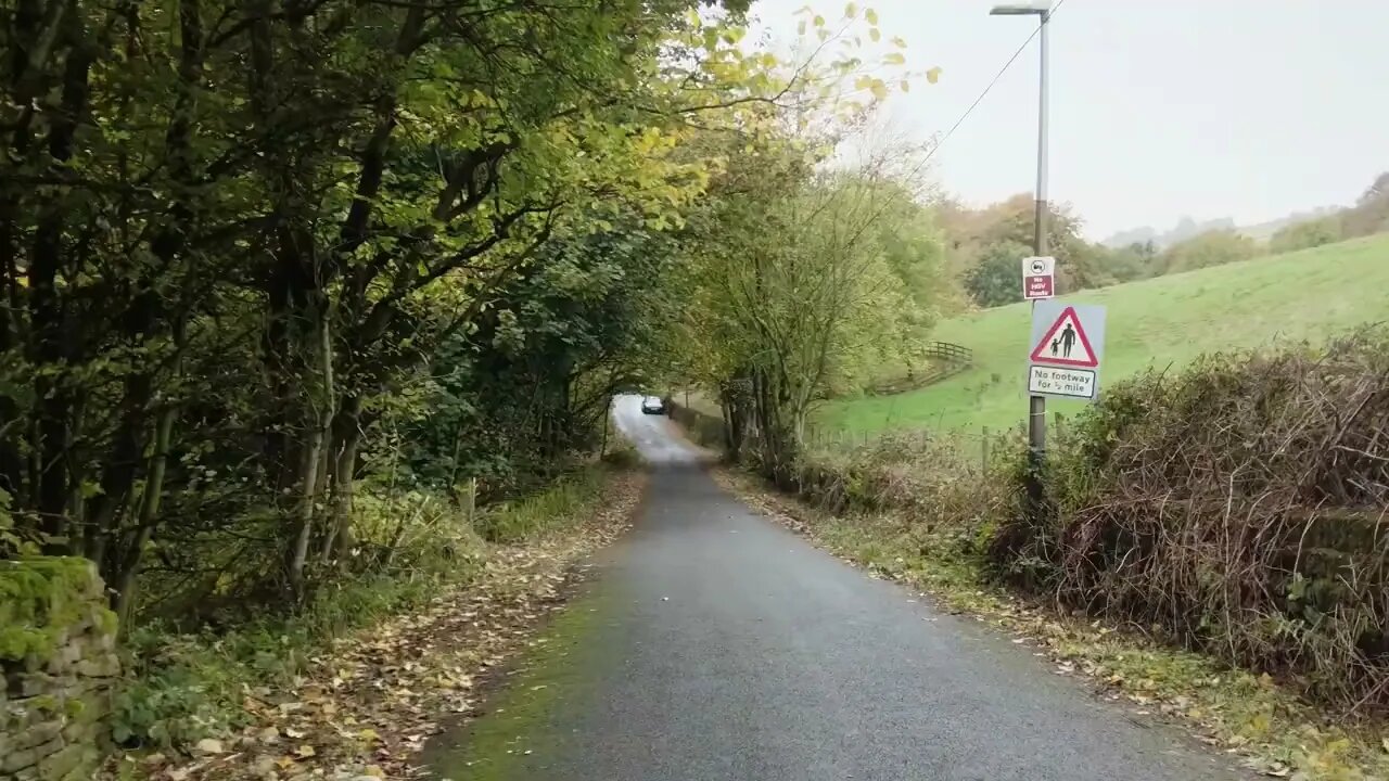 Autumn Walk