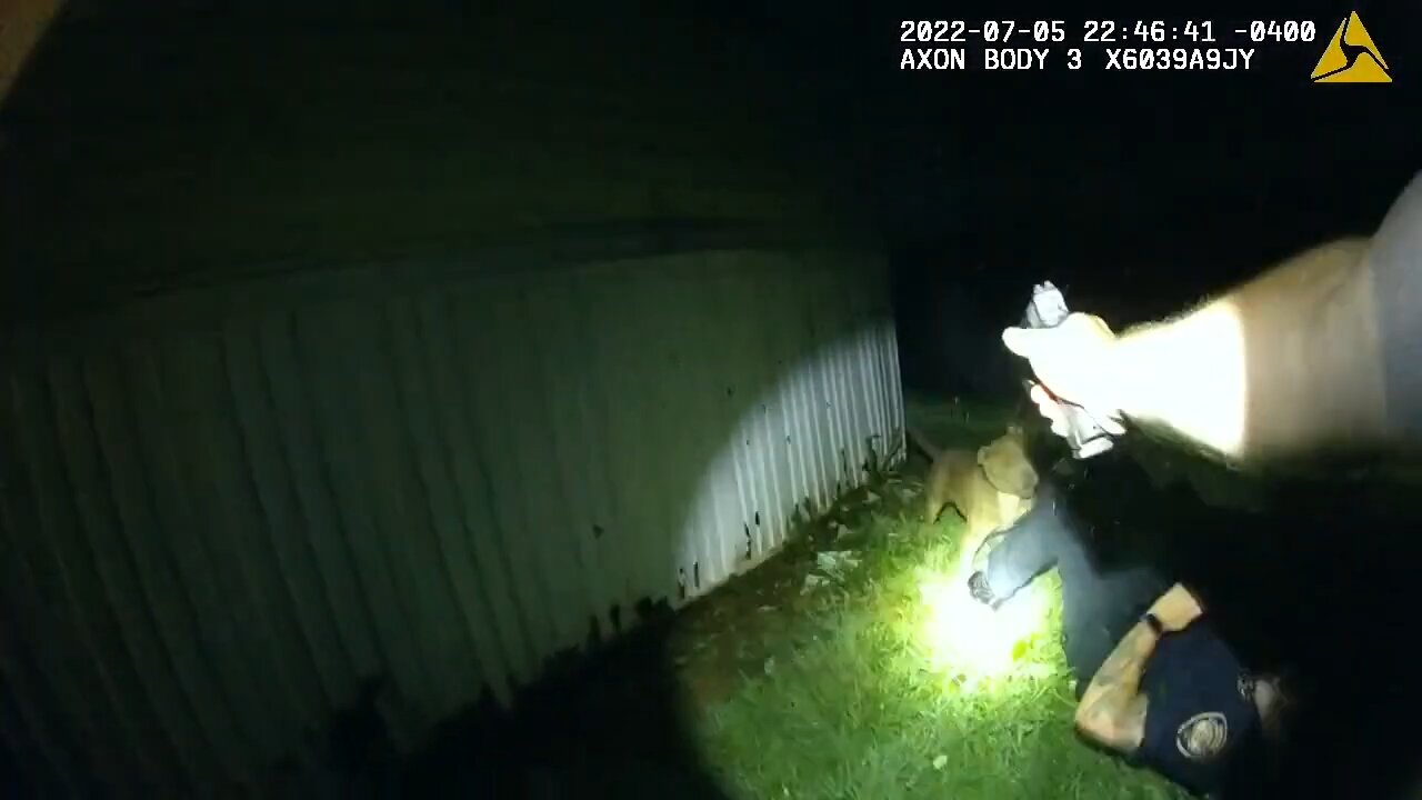Knox County Sheriff's deputy attempts to shoot an attacking pit bull but strikes partner instead