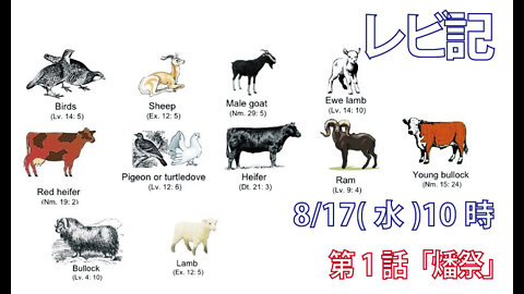 ｢燔祭｣(レビ1.1-2)みことば福音教会2022.8.17(水)