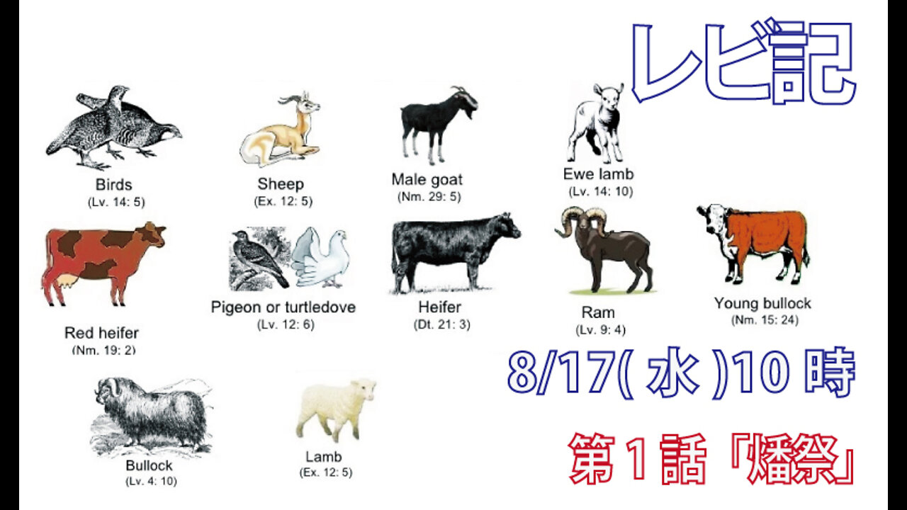 ｢燔祭｣(レビ1.1-2)みことば福音教会2022.8.17(水)