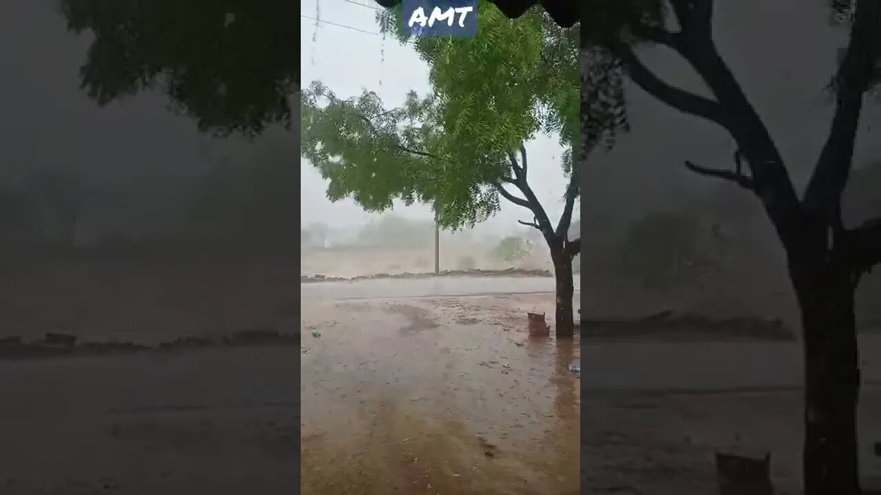 Pahli Barish WhatsApp status