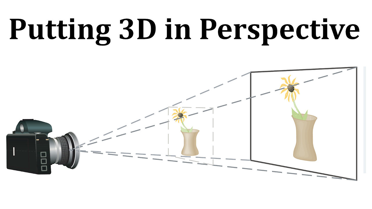 Laboratory Project: Putting 3D in Perspective