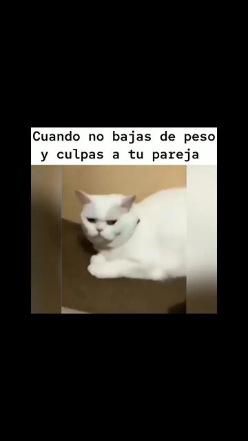 when you don't lose weight and blame your partner