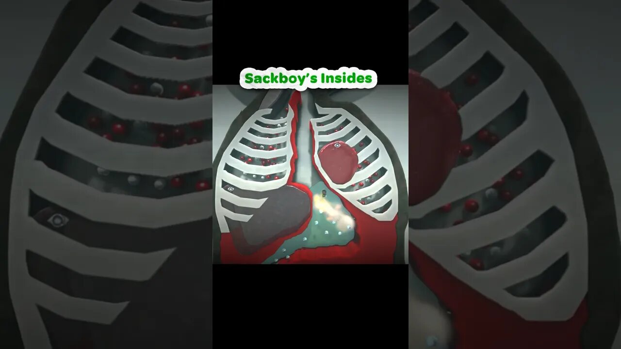 Sackboy’s Insides (Part 6) #littlebigplanet #playstation
