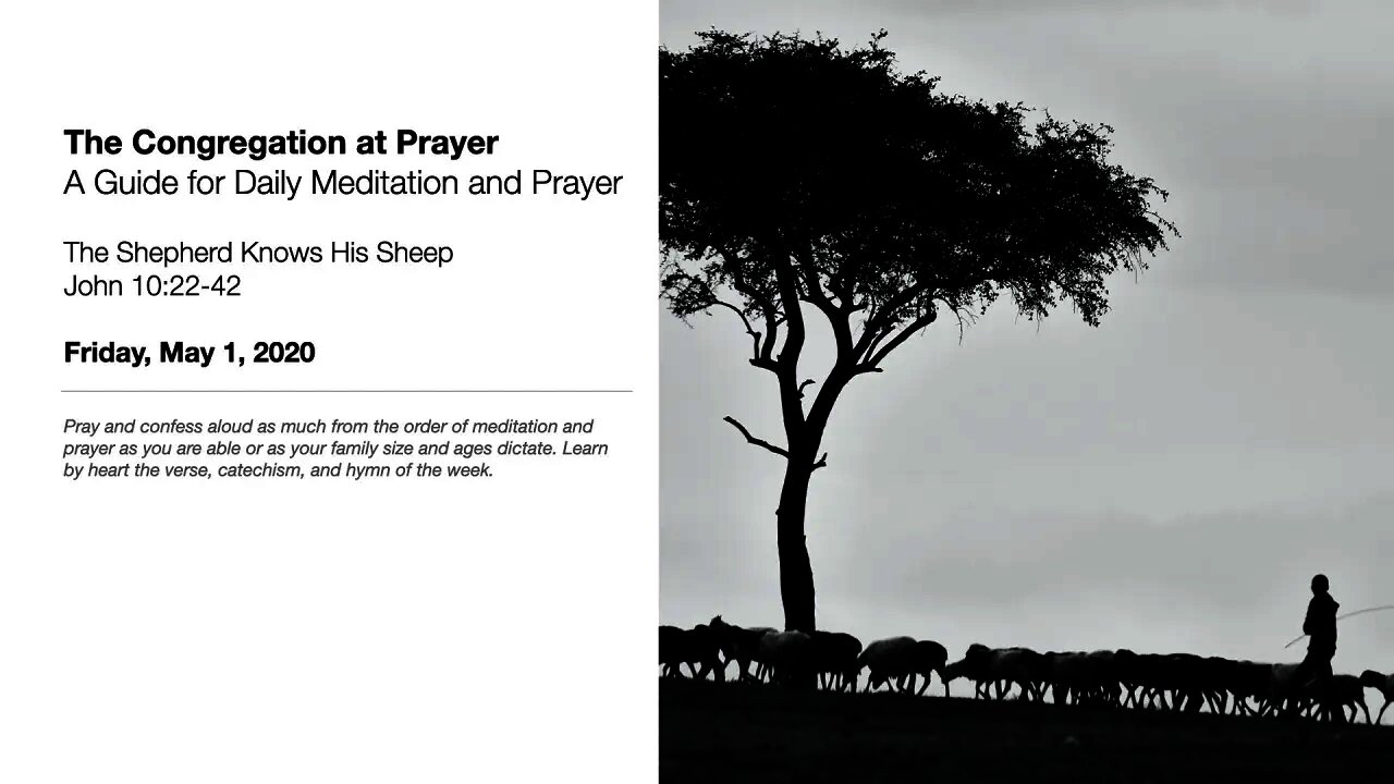 The Shepherds Knows the Sheep - The Congregation at Prayer for May 1, 2020
