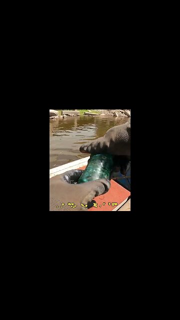 Expensive Vintage Glass Insulator Found Magnet Fishing! #magnetfishing