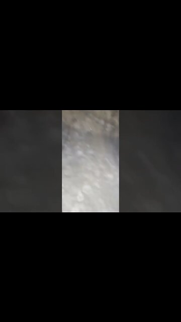 EVEN IN A SNOW STORM