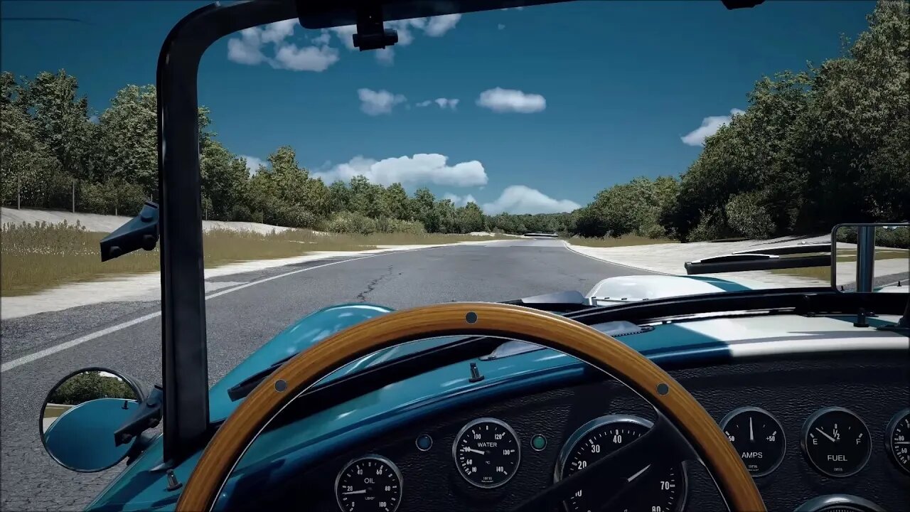 Shelby Cobra Cruising In Los Angeles Canyons!