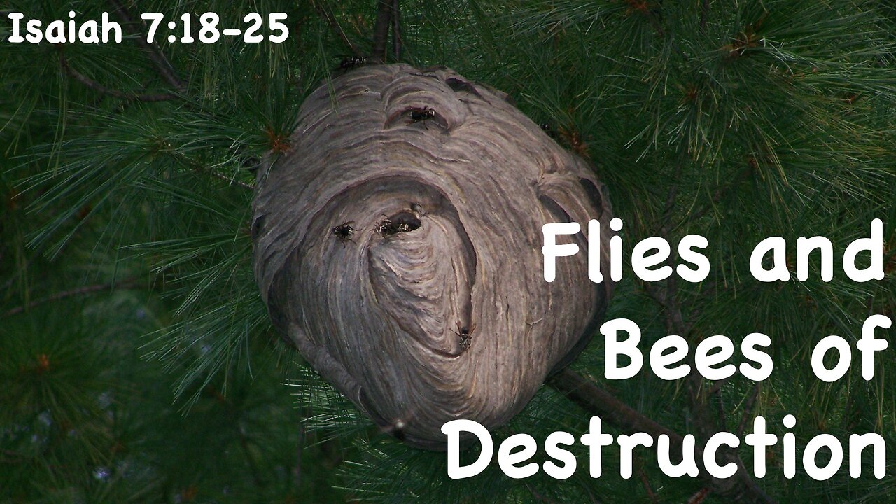 The Flies and Bees of Destruction