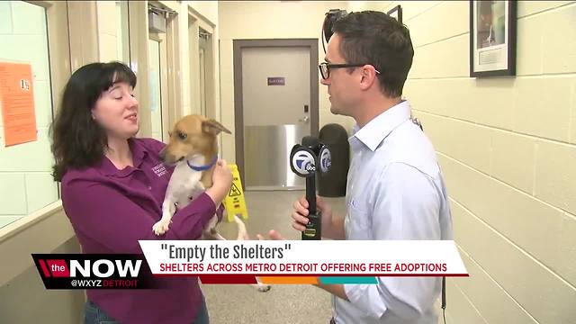 How to adopt a pet for free through the Michigan Humane Society