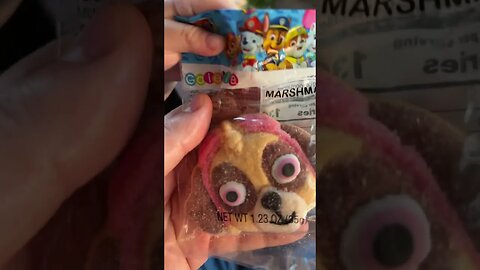 ZOMBIE PAW PATROL…!!! 🤣🧠🧟‍♀️