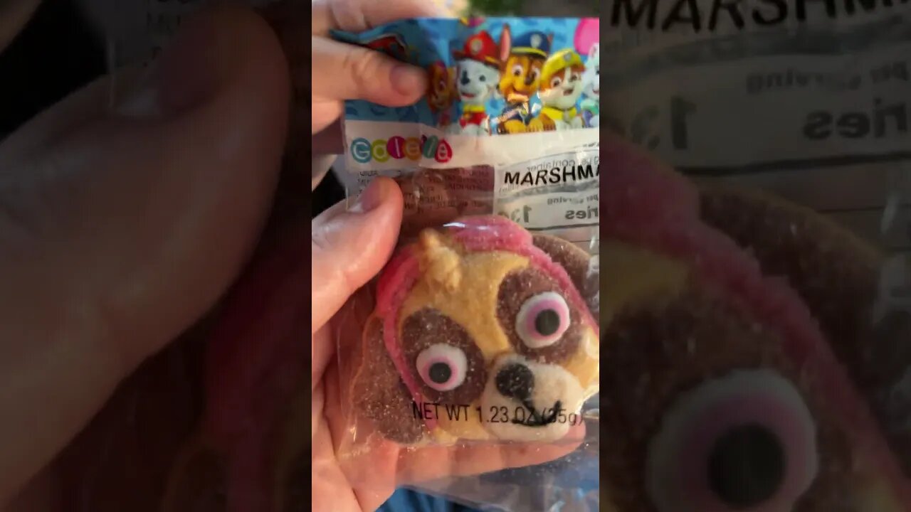 ZOMBIE PAW PATROL…!!! 🤣🧠🧟‍♀️