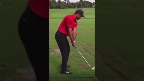 Tiger Woods Twerk Swing