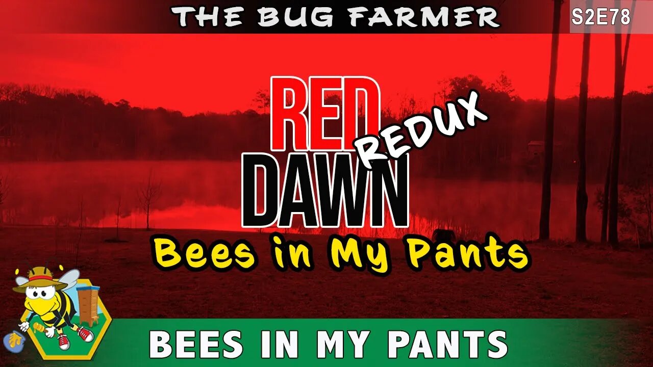 Bees in My Pants - Red Dawn Redux. Beekeeping gone wrong when aggressive bees attack beekeeper.