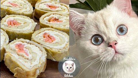 Cat try to make Egg Roll 🍳🙀