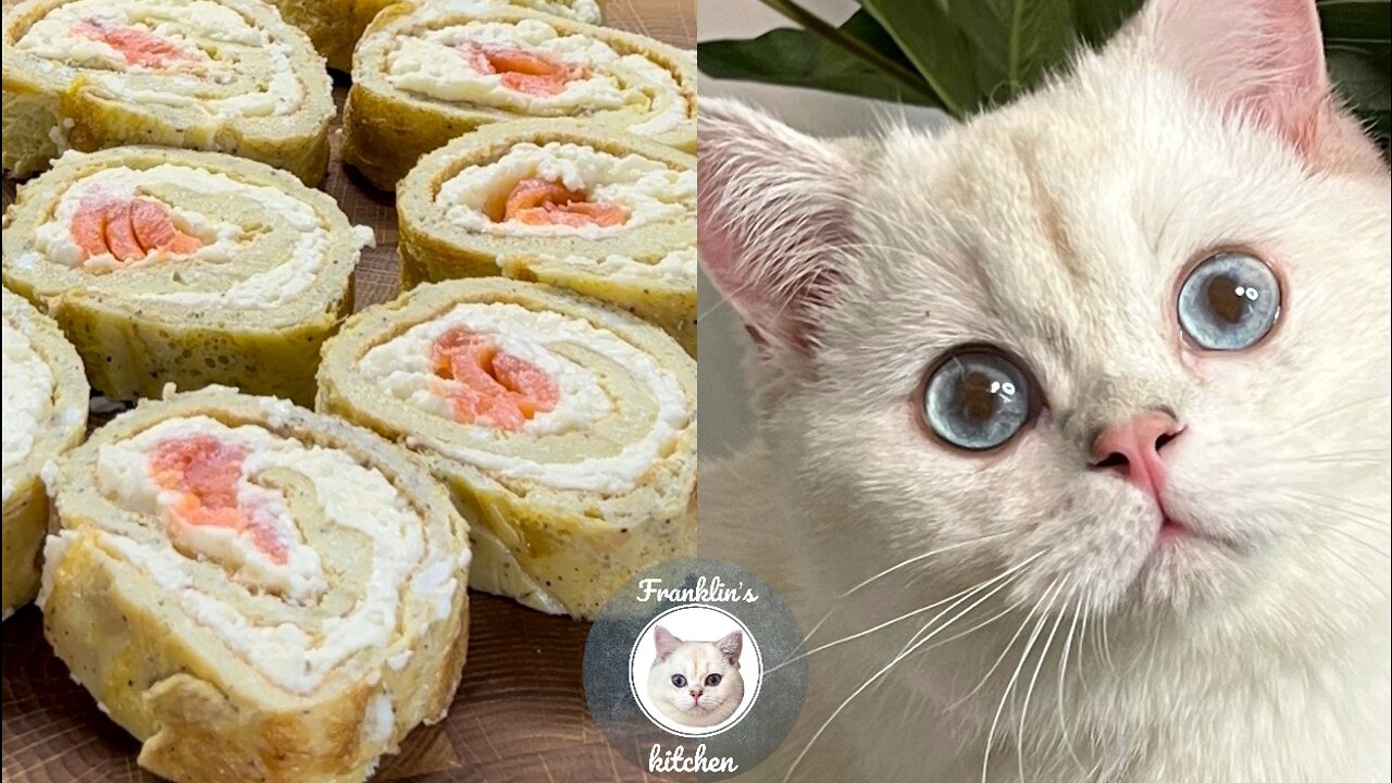 Cat try to make Egg Roll 🍳🙀