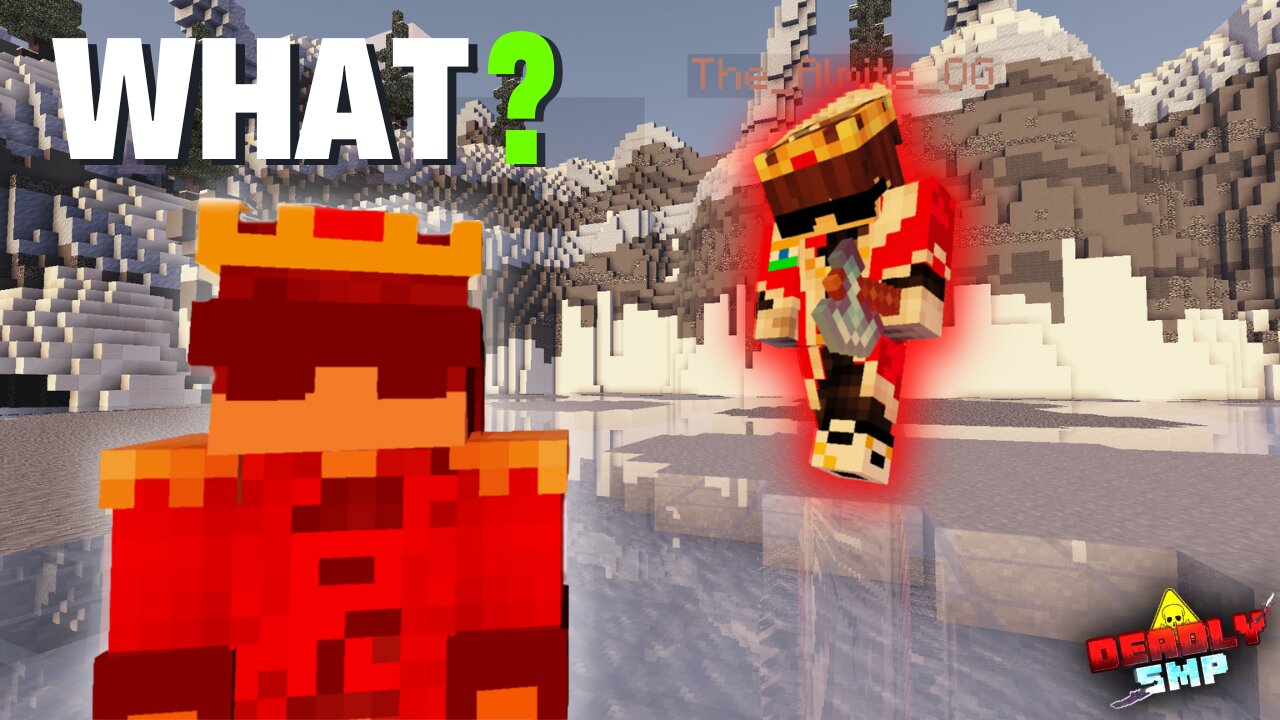 What Happened In This Lifesteal Smp...