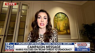 Dems Threat To Democracy Rhetoric On Trump Wreaks Of Desperation: Morgan Ortagus